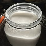 Homemade coconut yoghurt